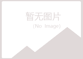 阳西县紫山材料有限公司